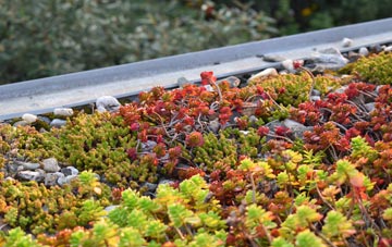 the cost of Little Wisbeach green roof installation
