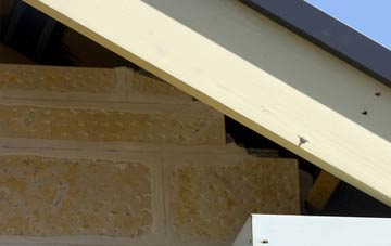 soffit repair Little Wisbeach